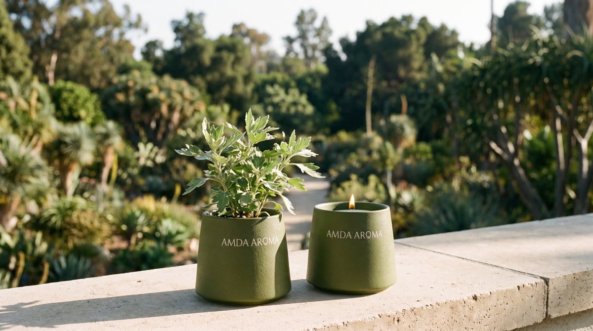 amda aroma plantable candle with seed paper packaging and botanical scent