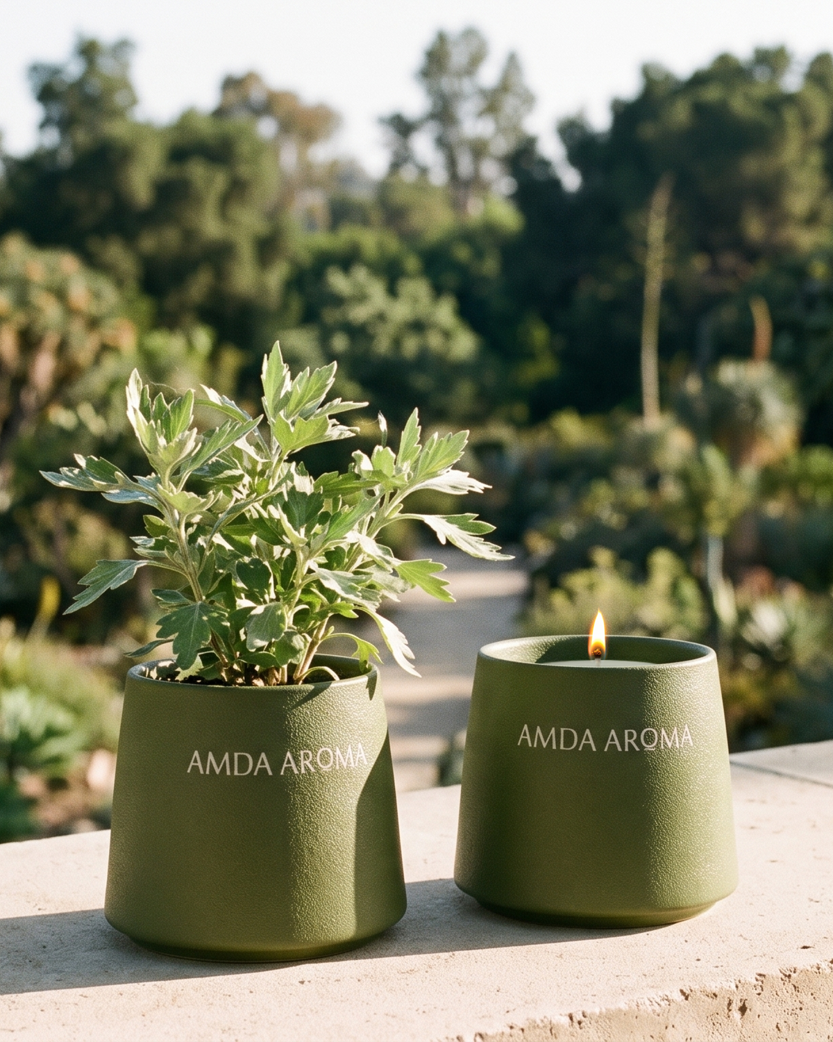 amda aroma plantable candle with seed paper packaging and botanical scent